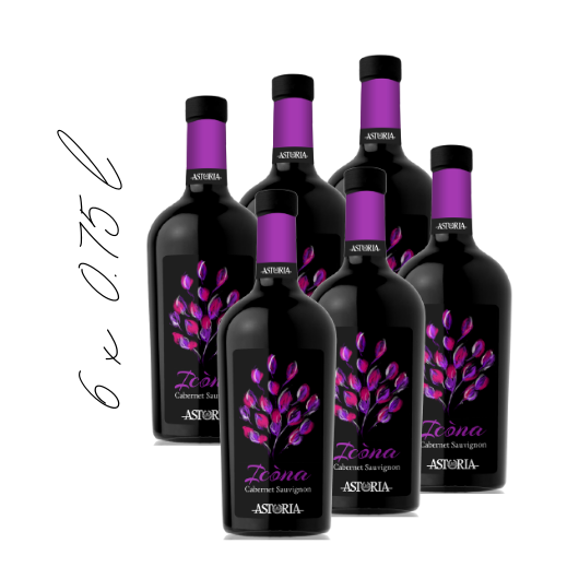 Cabernet sauvignon DOC Venezia karton - rdeča vina - Astoria Wines - okusi italije