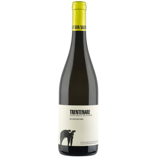 Trentenare Fiano Paestum IGP belo vino OKUSI ITALIJE