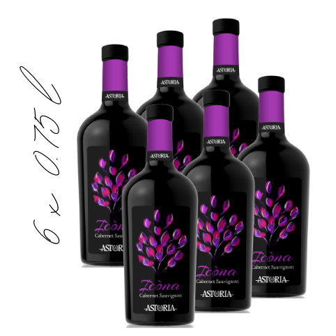 Cabernet sauvignon DOC Venezia karton - rdeča vina - Astoria Wines - okusi italije