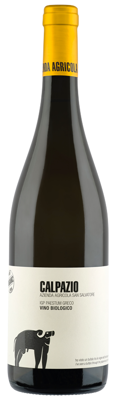 Greco Paestum IGP belo vino OKUSI ITALIJE