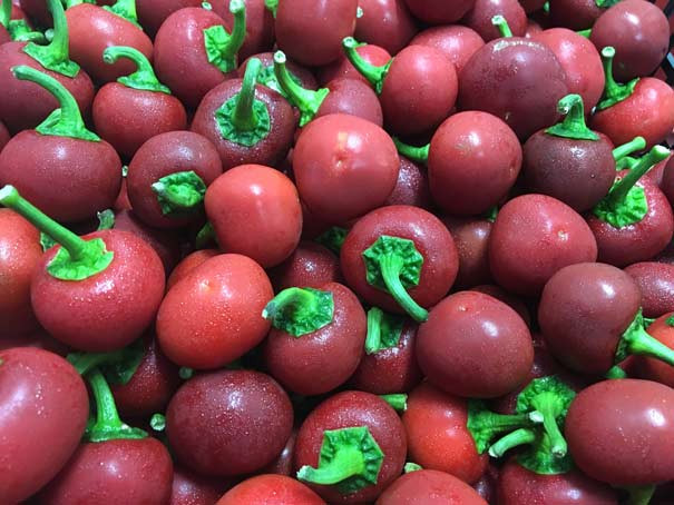 Češnjeve čili paprike