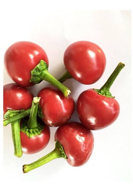 Čili sorte ciliegione