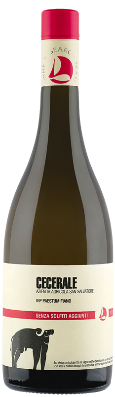 Fiano belo vino brez sulfitov