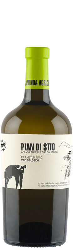 Pian di Stio FIANO Paestum IGP BIO belo vino 0,75L