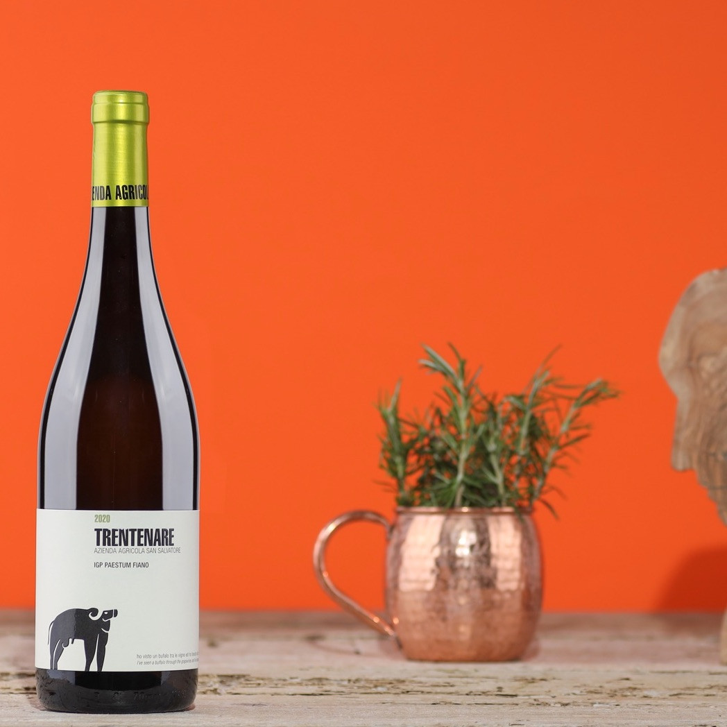 San Salvatore Fiano Paestum IGP belo vino 