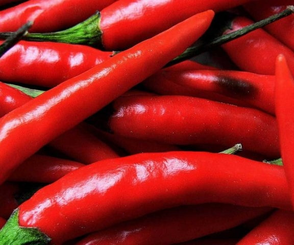 BIO ČILI IZ SICILIJE I Začimbe