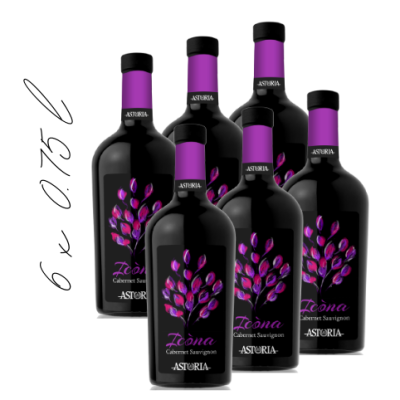 Karton ICONA Cabernet Sauvignon DOC Venezia 6 x 0,75L