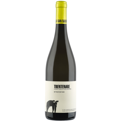 TRENTENARE Fiano Paestum IGP belo vino 0,75L